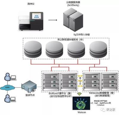 基因檢測分析服務升級，榮之聯助力菩提慧生醫學檢驗所數據處理服務